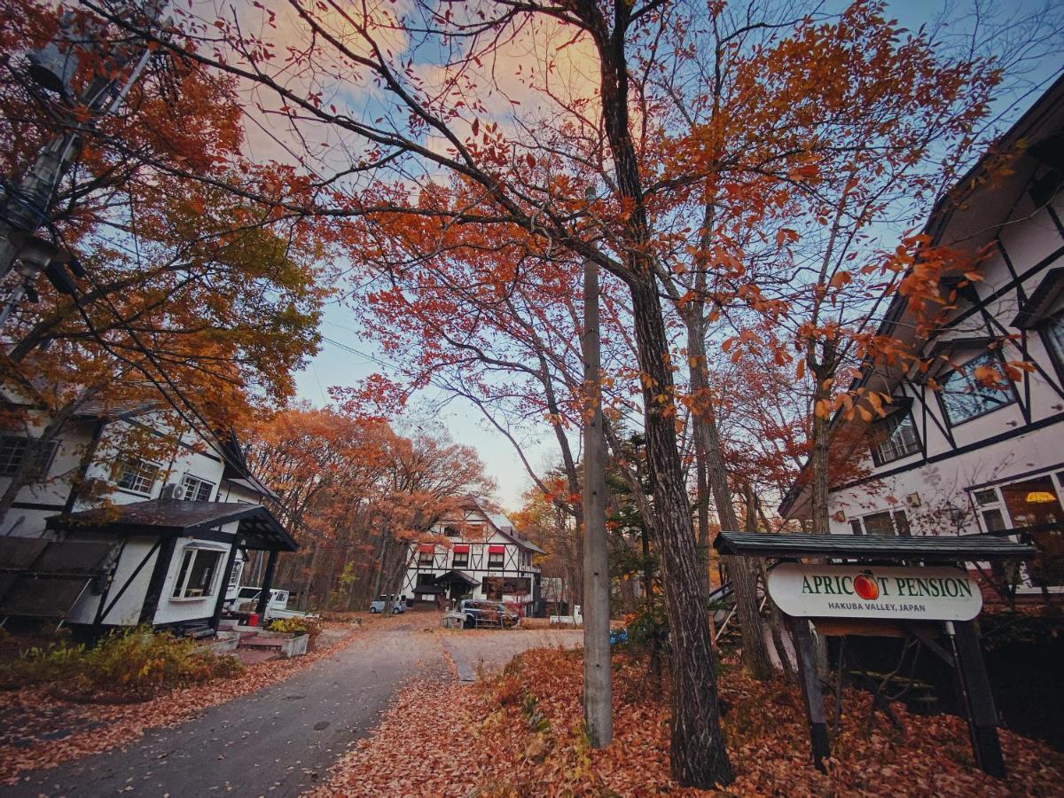 Apricot Pension Hakuba Exterior foto